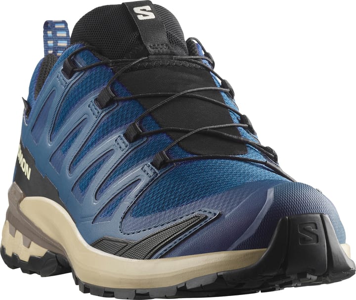Salomon Men's XA 3D Pro V9 GORE-TEX Poseidon/white Pepper/falcon